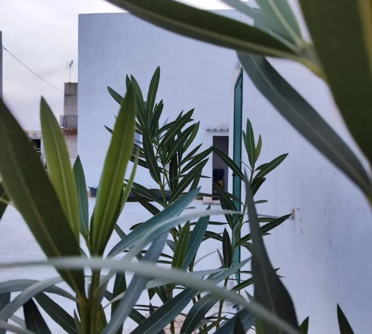 Lilybaitan, Risacca E Albaria Marsala Italien